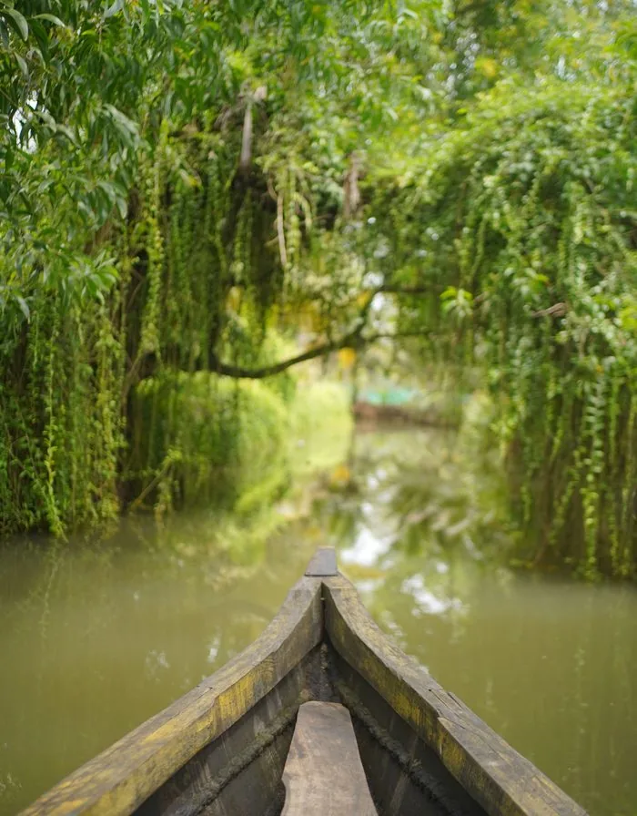 Kerala honeymoon — backwaters