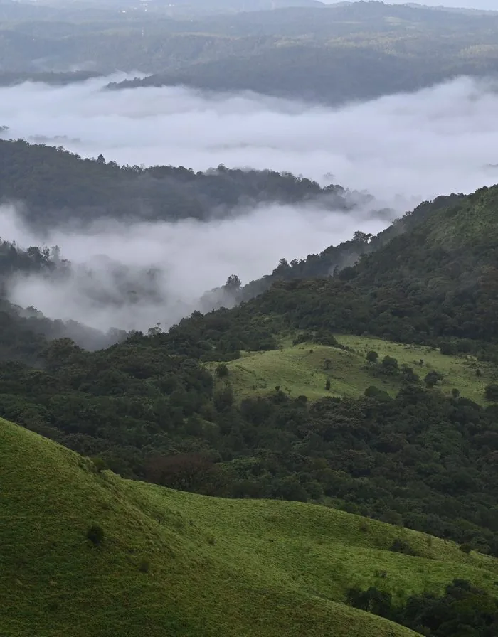 Coorg honeymoon — misty hills