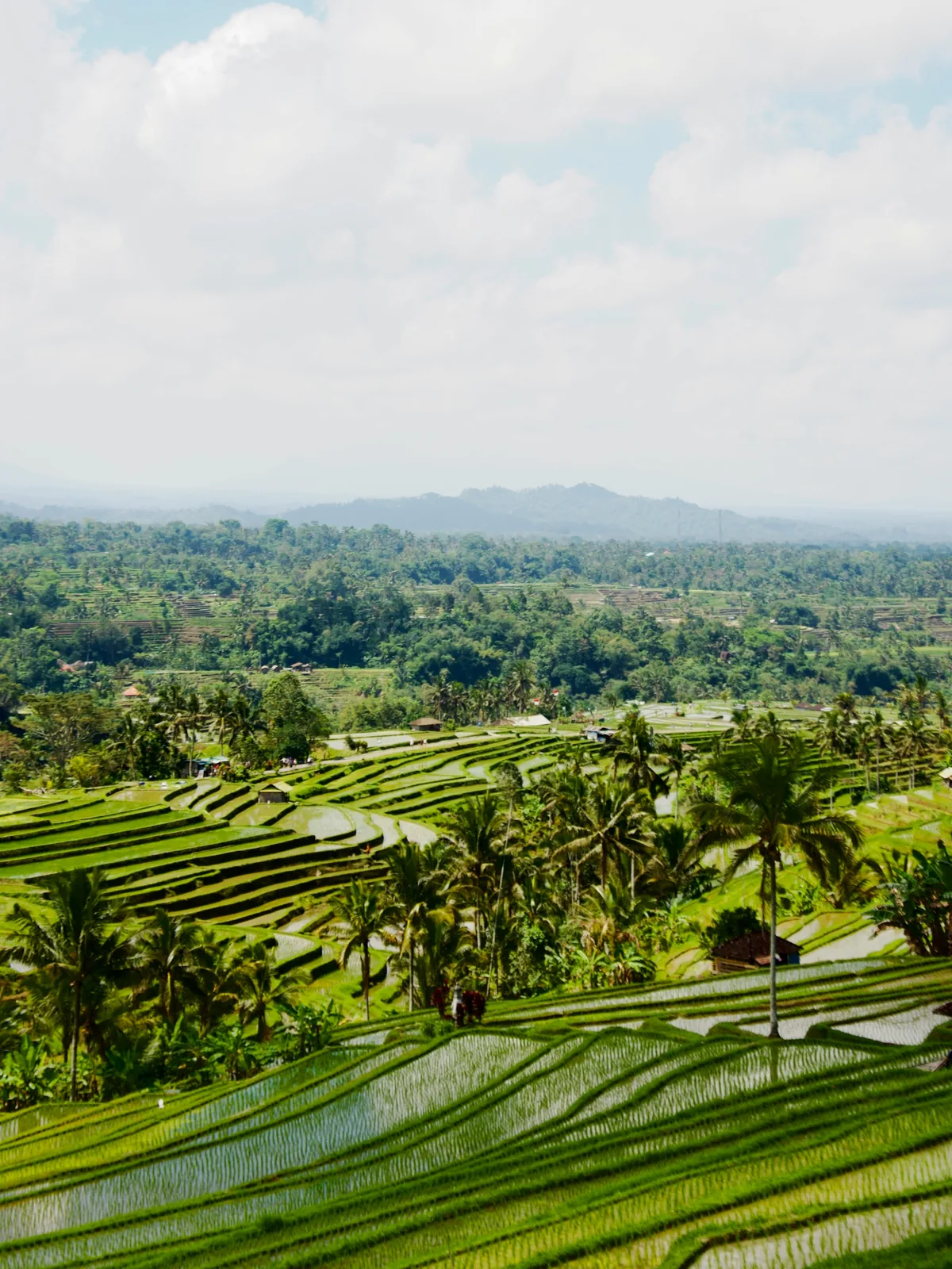 Bali