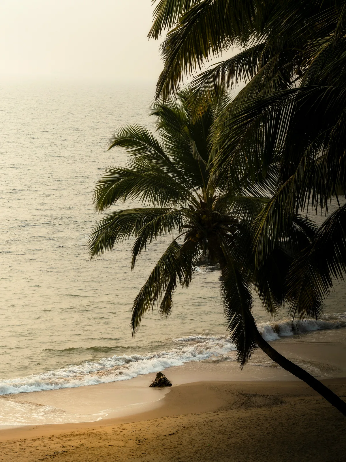Goa